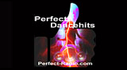 Perfect Dancehits