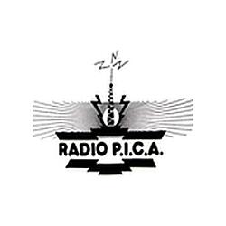 Radio Pica