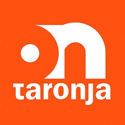 Taronja Ràdio Terrassa