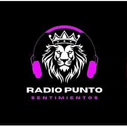Punto Sentimientos