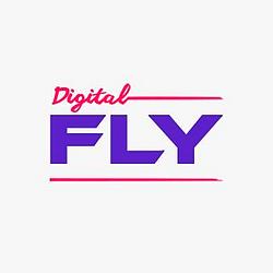 AIRMAXFM - Digital Fly